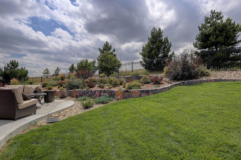 Best Grass For Colorado Popular Grass For Colorado Lawns 