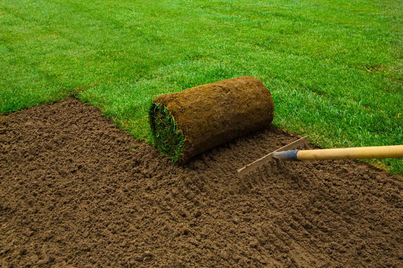 Preparing Soil for Sod in Colorado