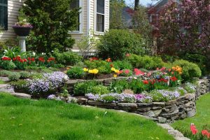 How to Add Color to Landscaping