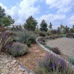 What is Xeriscaping?