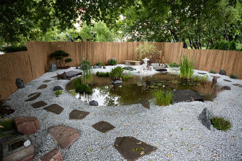 Everything You Need to Know to Build the Perfect Backyard Pond