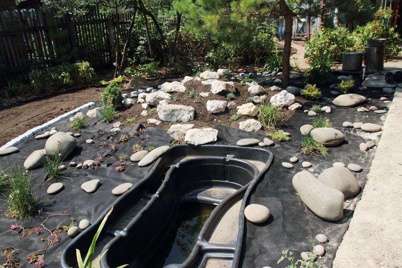 Custom Landscaping Pond Shape