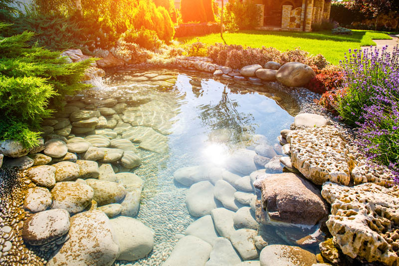 Colorado Landscaping Pond Ideas