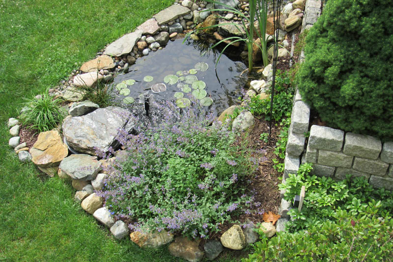 Pond Landscaping Ideas