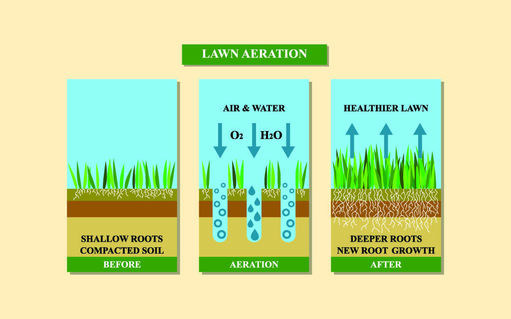 What is Lawn Aeration?