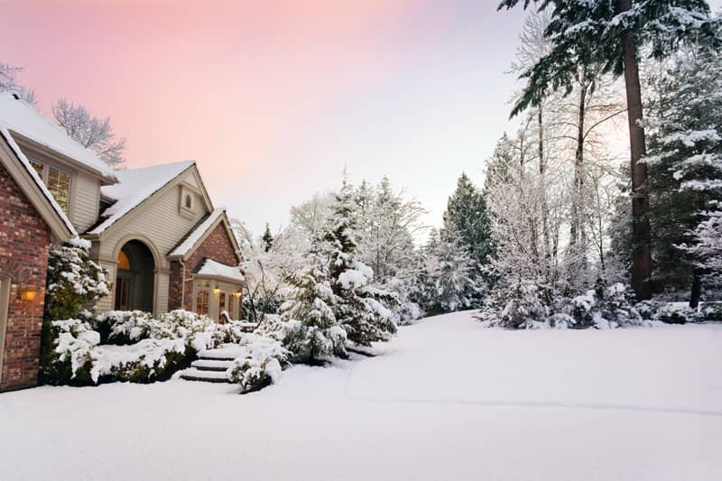 3 Tips for Landscaping During Winter Months