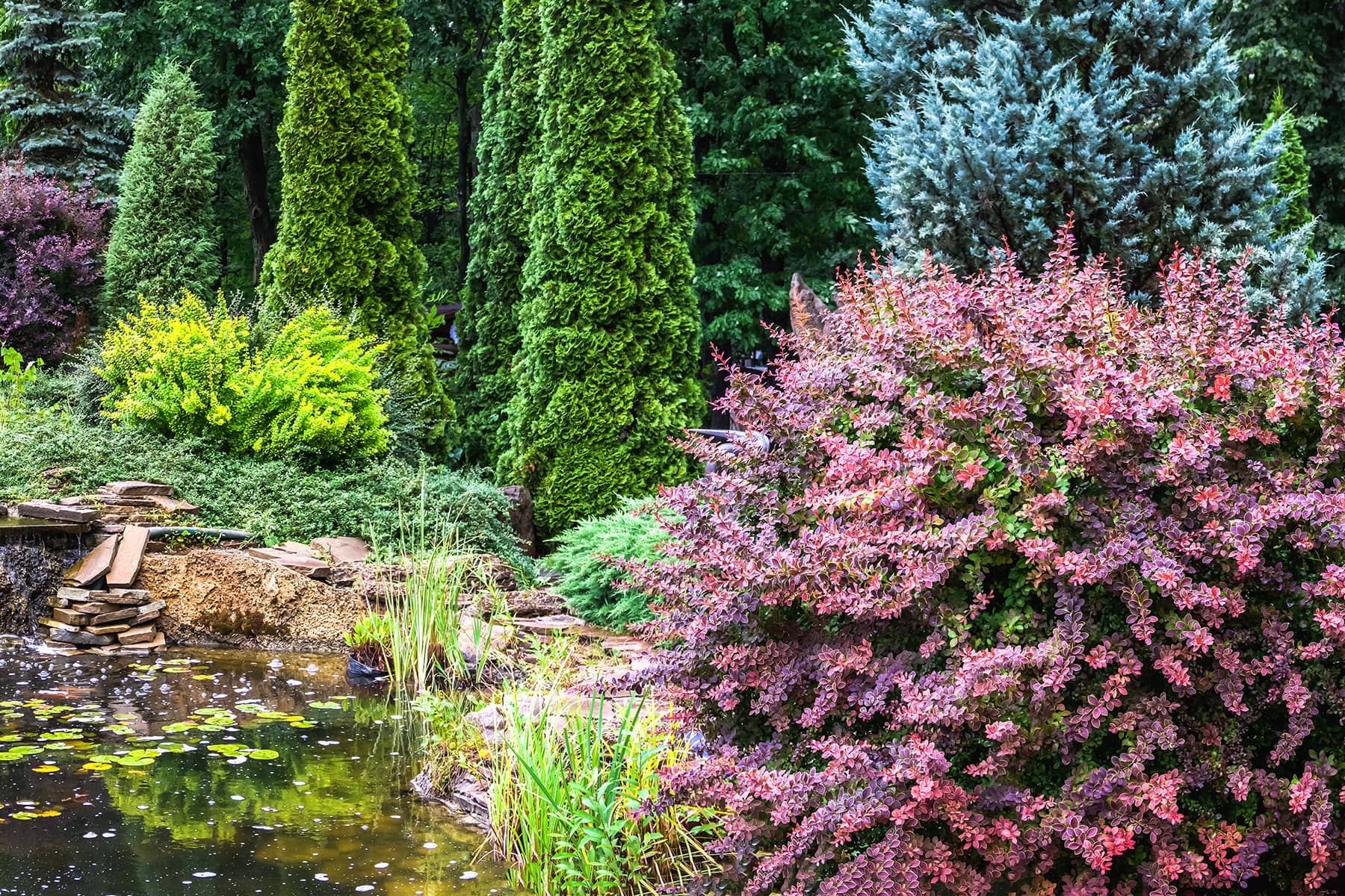 Does Landscaping Increase Home Value In Colorado 