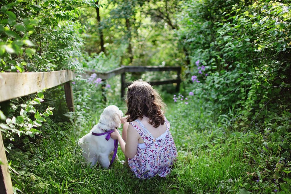 Plants poisonous to pets