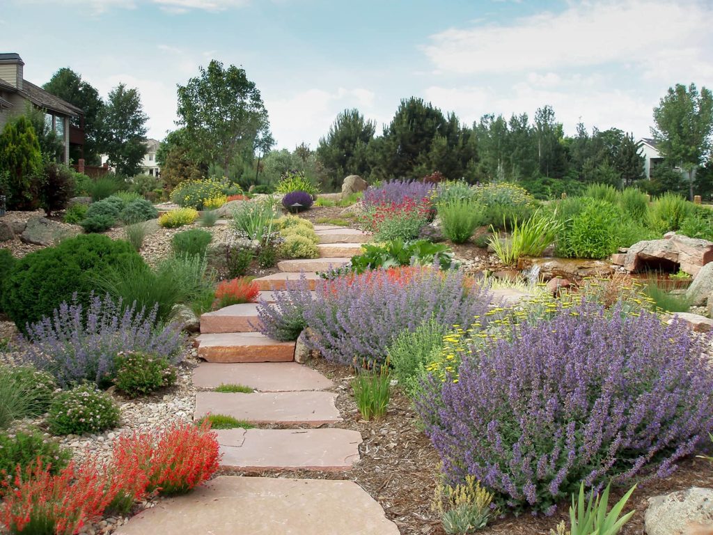 Xeriscape Easy-care Plants for Colorado