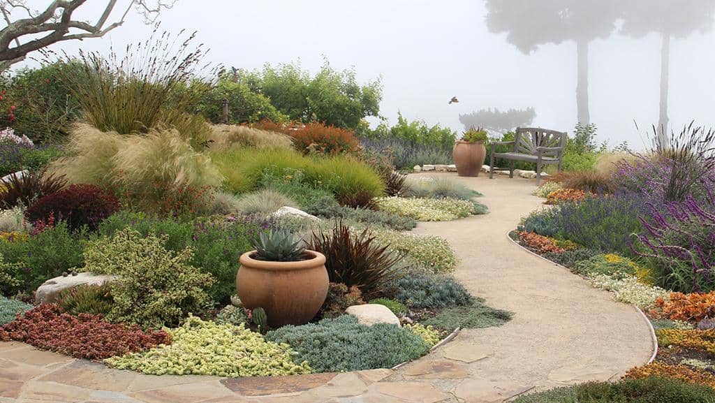 Xeriscape Easy-care Plants for Colorado