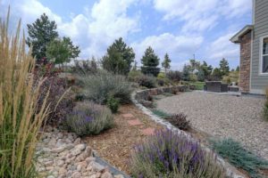 Xeriscape Easy-care Plants for Colorado