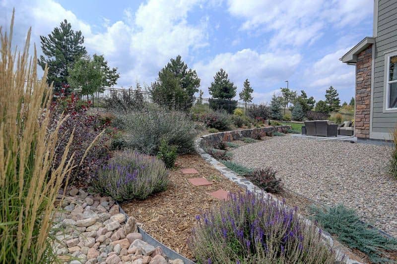 Xeriscape Easy-care Plants for Colorado