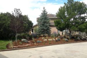 Landscaping Larkspur CO