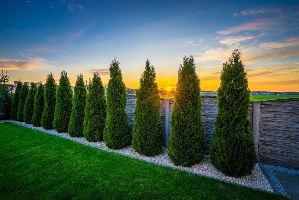 Landscaping Monument CO