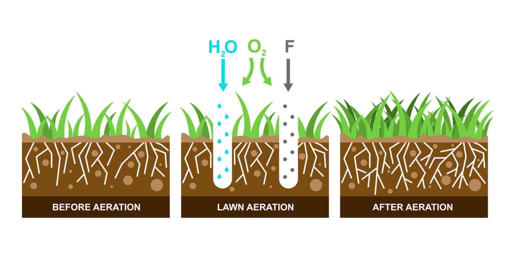 Aerating Lawn in Fall