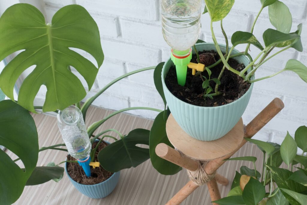 Self-Watering Planters