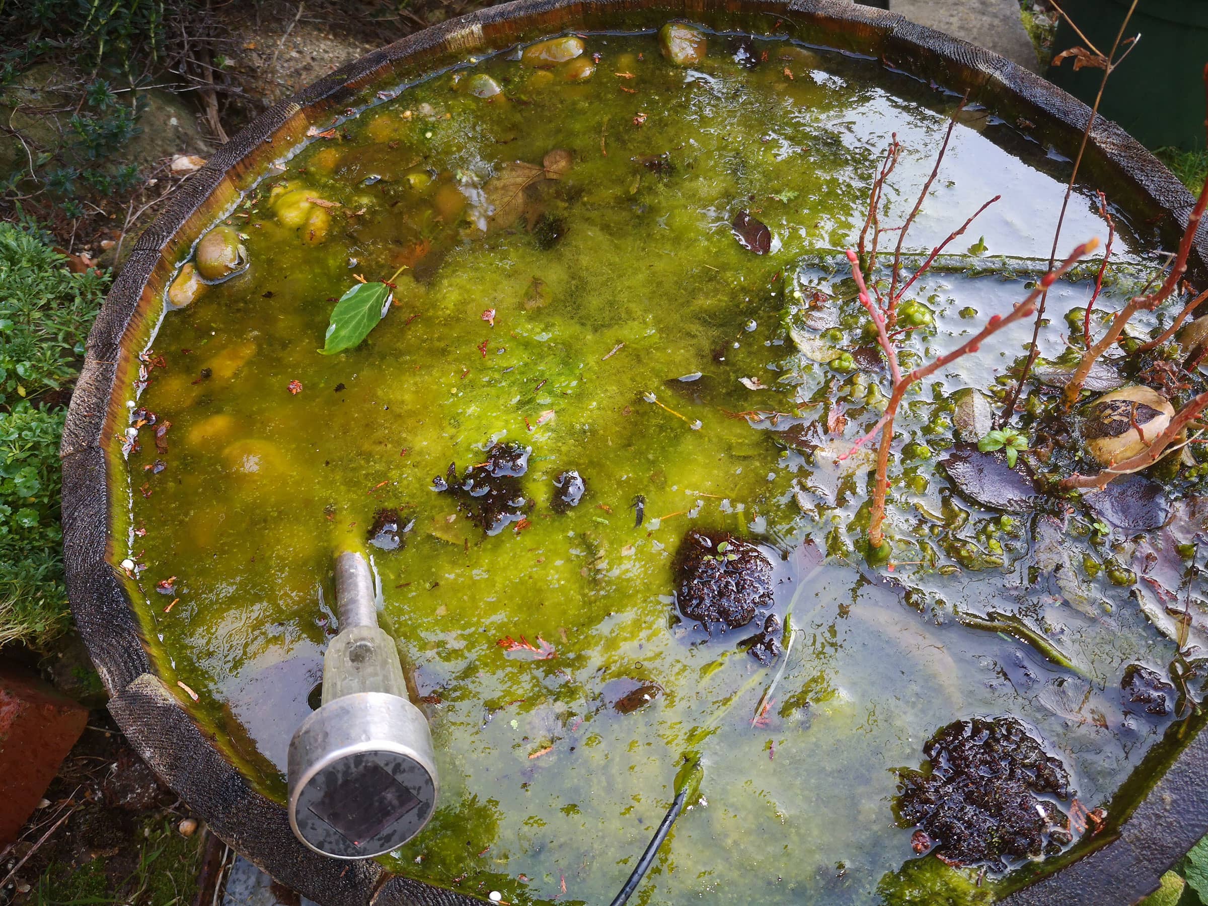 Water Feature Maintenance