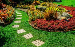 2025 Colorado Landscaping Trends