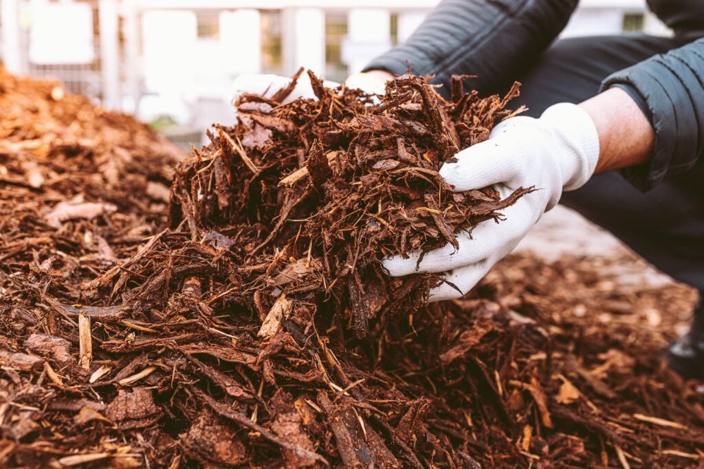 Organic Mulch