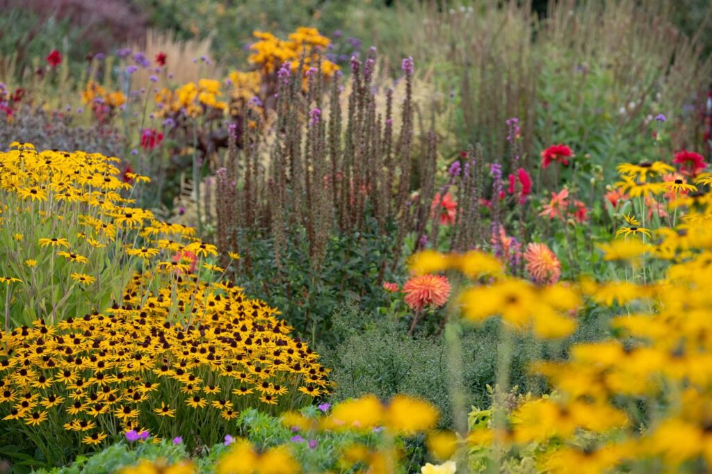 Pollinator-Friendly Gardens