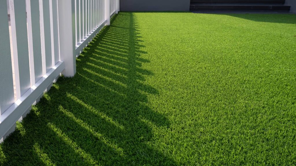 Designing a Dog-Friendly Yard in Parker and Franktown: Fencing, Turf, and Drainage Tips