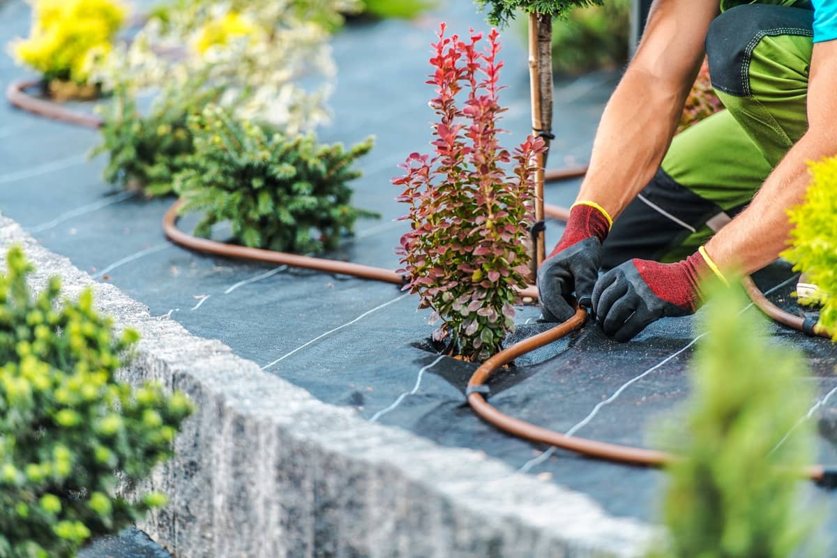 Irrigation Installation